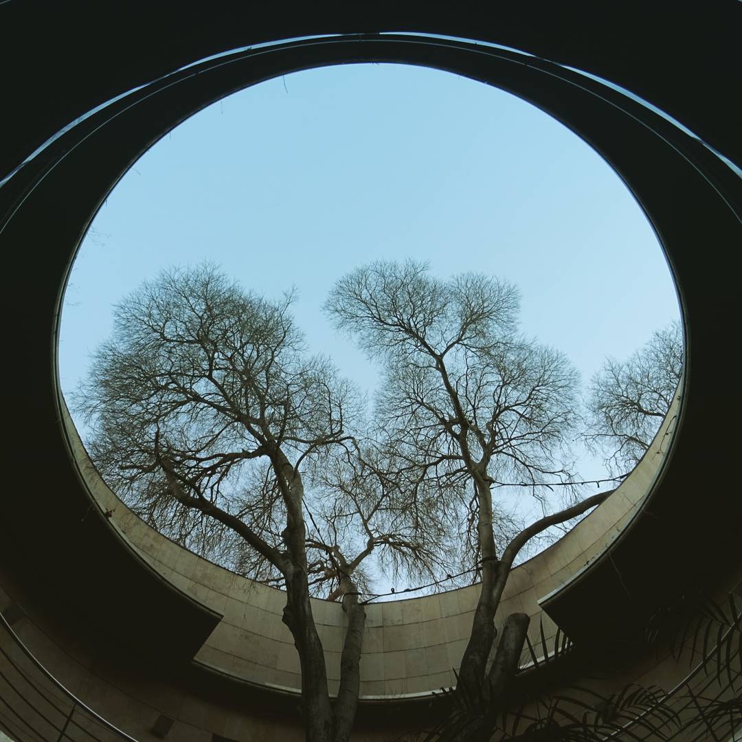 Jardín Botánico de Valencia .